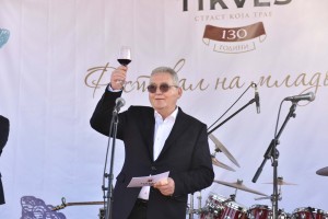Festival mladog vina Tikves