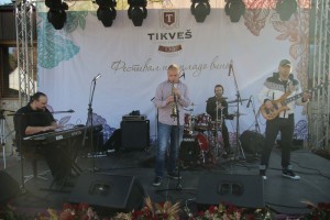 Festival mladog vina Tikves