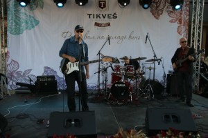 Festival mladog vina Tikves