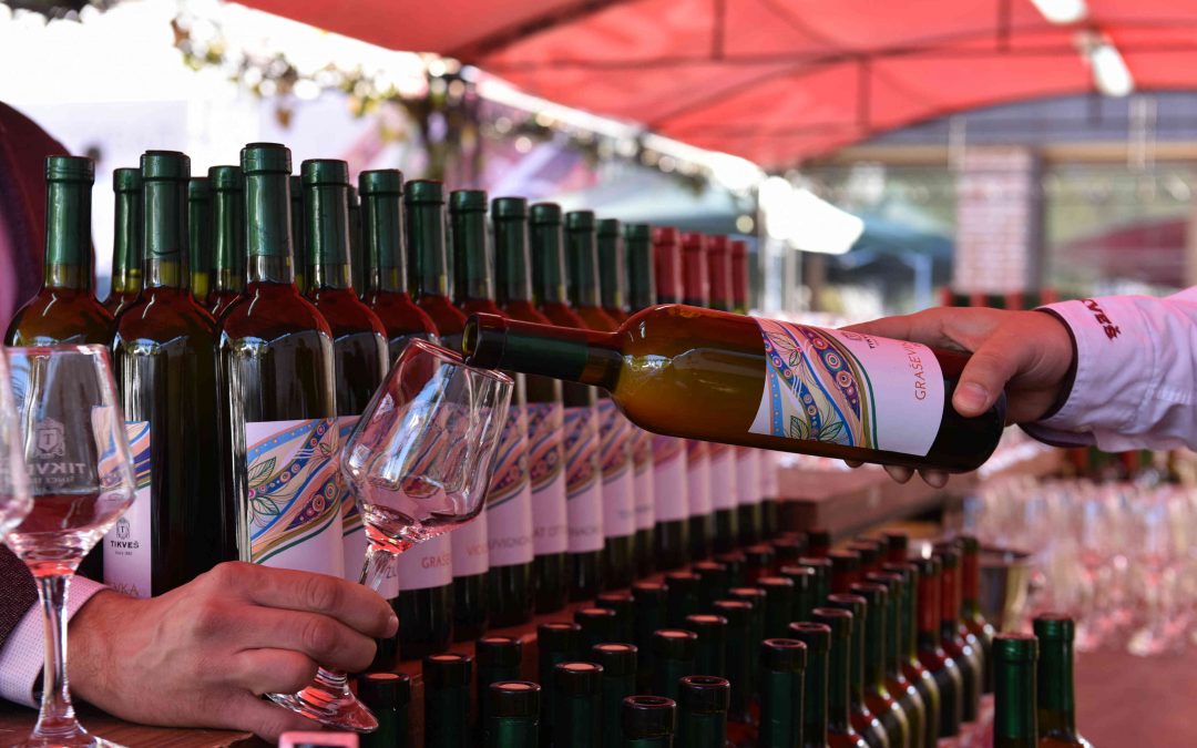 VII festival mladog vina Tikveš vinarije